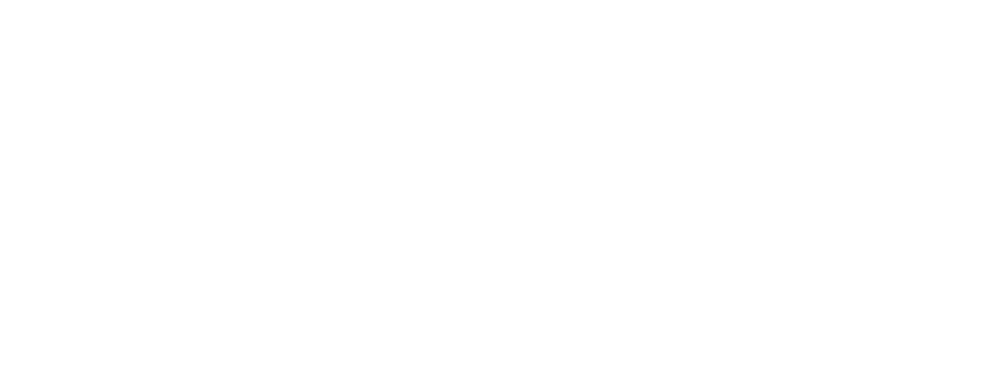 Ghost Inspections Inc